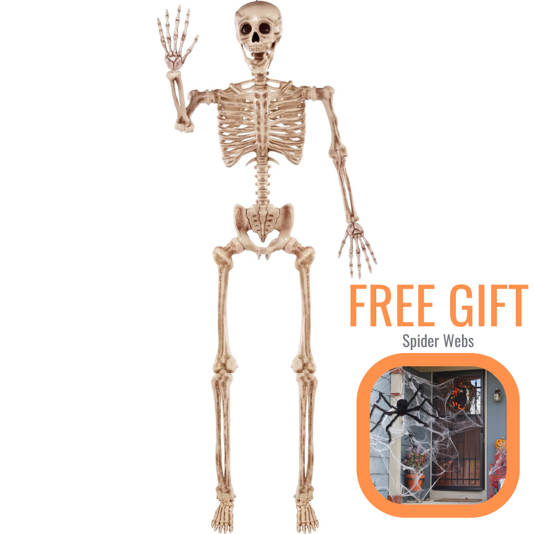 5 Feet Halloween Skeleton w/ Hanging Loop